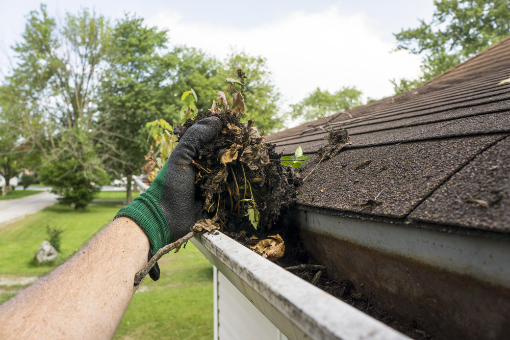 gutter cleaning and roof repair for property maintenance